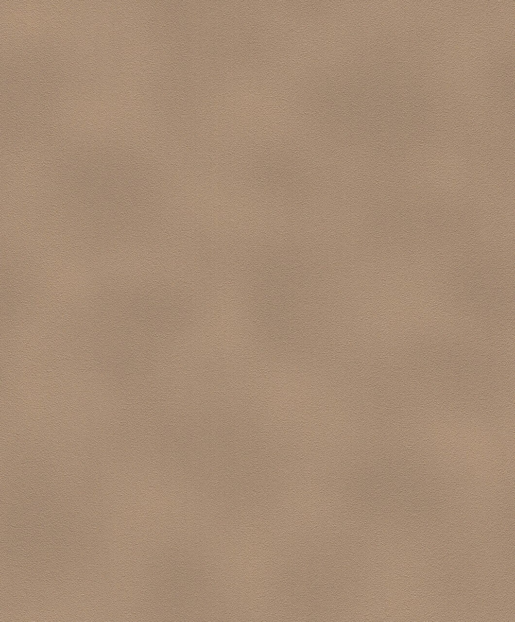 d2